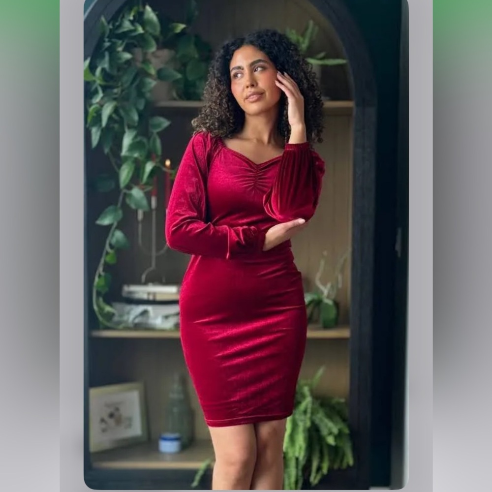 Poet Elegant Velvet Red Dress